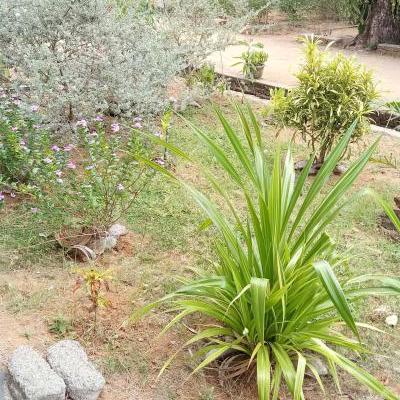 Img 20200825 113132 Y Thumb