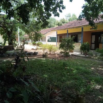 Img 20200825 113712 Thumb