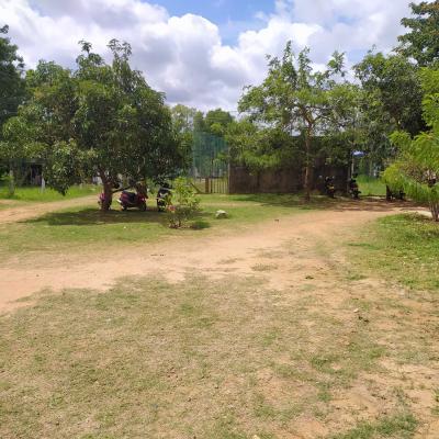 Img 20200918 105324 Thumb