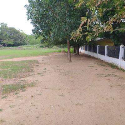 Img 20200918 110132 Thumb