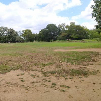 Img 20200918 110141 Thumb